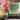 Cucumber and Melon Handmade Soap Black Oliver