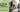 The Role of Herbal Supplements in Supporting a Full-Body Detox HealthStoreOutlet