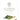 Premium Organic Moringa Leaf Powder | Raw Superfood Supplement Orchid Oliver
